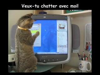 Veux-tu chatter avec moi!
 