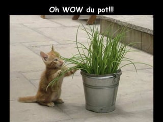 Oh WOW du pot!!!
 