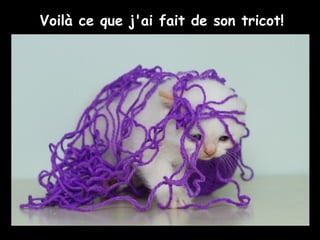 Voilà ce que j'ai fait de son tricot!
 