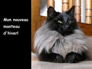 Mon nouveau
manteau
d'hiver!
 
