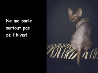 Ne me parle
surtout pas
de l'hiver!
 