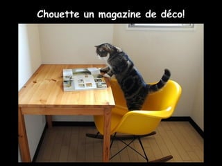 Chouette un magazine de déco!
 