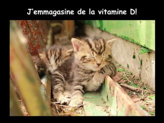 J’emmagasine de la vitamine D!
 