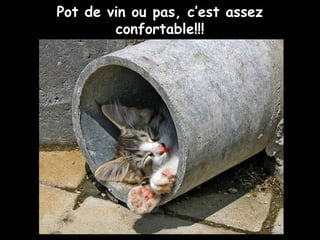 Pot de vin ou pas, c’est assez
confortable!!!
 