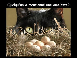 Quelqu'un a mentionné une omelette?
 