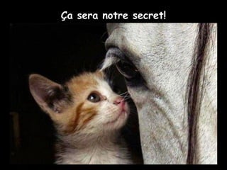 Ça sera notre secret!
 