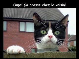 Oups! Ça brasse chez le voisin!
 
