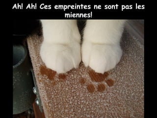 Ah! Ah! Ces empreintes ne sont pas les
miennes!
 