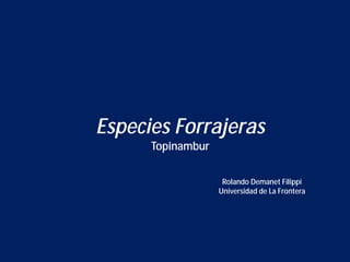 Especies Forrajeras
Topinambur

Rolando Demanet Filippi
Universidad de La Frontera

 