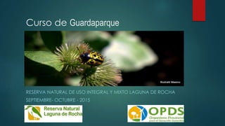 Curso de Guardaparque
RESERVA NATURAL DE USO INTEGRAL Y MIXTO LAGUNA DE ROCHA
SEPTIEMBRE- OCTUBRE - 2015
 