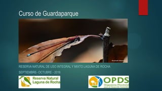 Curso de Guardaparque
RESERVA NATURAL DE USO INTEGRAL Y MIXTO LAGUNA DE ROCHA
SEPTIEMBRE- OCTUBRE - 2016
 