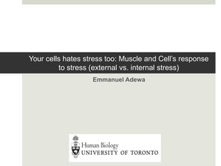 Your cells hates stress too: Muscle and Cell’s response
to stress (external vs. internal stress)
Emmanuel Adewa
 
