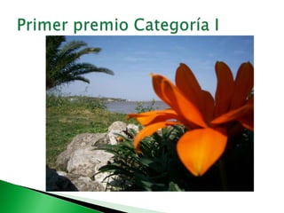 Primer premio Categoría I