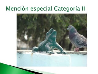 Mención especial Categoría II