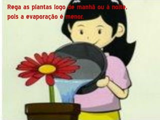 Rega as plantas logo de manhã ou à noite,
pois a evaporação é menor.
 