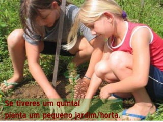 Se tiveres um quintal
planta um pequeno jardim/horta.
 