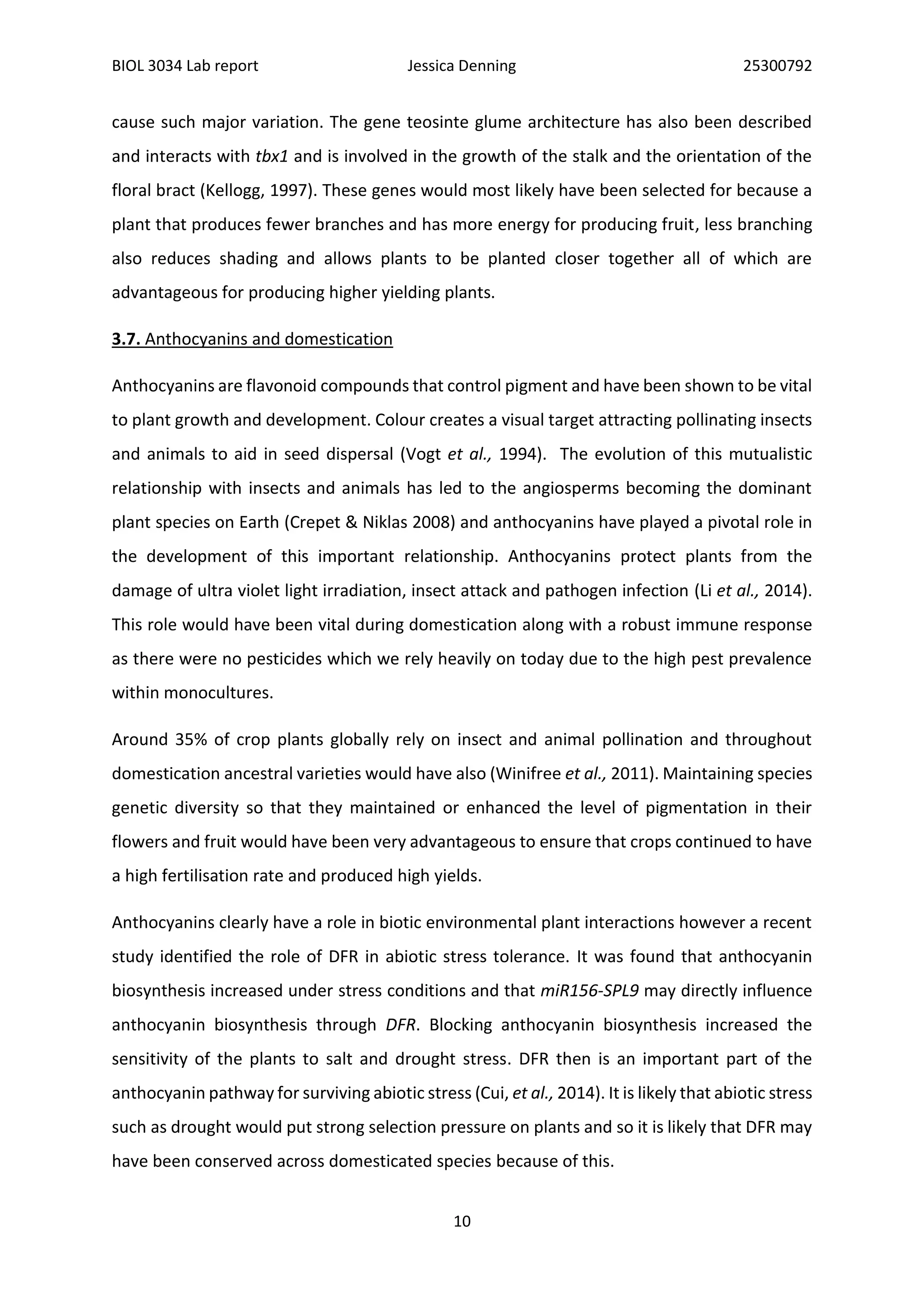 BIOL 3034 Lab report Jessica Denning 25300792
10
cause such major variation. The gene teosinte glume architecture has also been described
and interacts with tbx1 and is involved in the growth of the stalk and the orientation of the
floral bract (Kellogg, 1997). These genes would most likely have been selected for because a
plant that produces fewer branches and has more energy for producing fruit, less branching
also reduces shading and allows plants to be planted closer together all of which are
advantageous for producing higher yielding plants.
3.7. Anthocyanins and domestication
Anthocyanins are flavonoid compounds that control pigment and have been shown to be vital
to plant growth and development. Colour creates a visual target attracting pollinating insects
and animals to aid in seed dispersal (Vogt et al., 1994). The evolution of this mutualistic
relationship with insects and animals has led to the angiosperms becoming the dominant
plant species on Earth (Crepet & Niklas 2008) and anthocyanins have played a pivotal role in
the development of this important relationship. Anthocyanins protect plants from the
damage of ultra violet light irradiation, insect attack and pathogen infection (Li et al., 2014).
This role would have been vital during domestication along with a robust immune response
as there were no pesticides which we rely heavily on today due to the high pest prevalence
within monocultures.
Around 35% of crop plants globally rely on insect and animal pollination and throughout
domestication ancestral varieties would have also (Winifree et al., 2011). Maintaining species
genetic diversity so that they maintained or enhanced the level of pigmentation in their
flowers and fruit would have been very advantageous to ensure that crops continued to have
a high fertilisation rate and produced high yields.
Anthocyanins clearly have a role in biotic environmental plant interactions however a recent
study identified the role of DFR in abiotic stress tolerance. It was found that anthocyanin
biosynthesis increased under stress conditions and that miR156-SPL9 may directly influence
anthocyanin biosynthesis through DFR. Blocking anthocyanin biosynthesis increased the
sensitivity of the plants to salt and drought stress. DFR then is an important part of the
anthocyanin pathway for surviving abiotic stress (Cui, et al., 2014). It is likely that abiotic stress
such as drought would put strong selection pressure on plants and so it is likely that DFR may
have been conserved across domesticated species because of this.
 