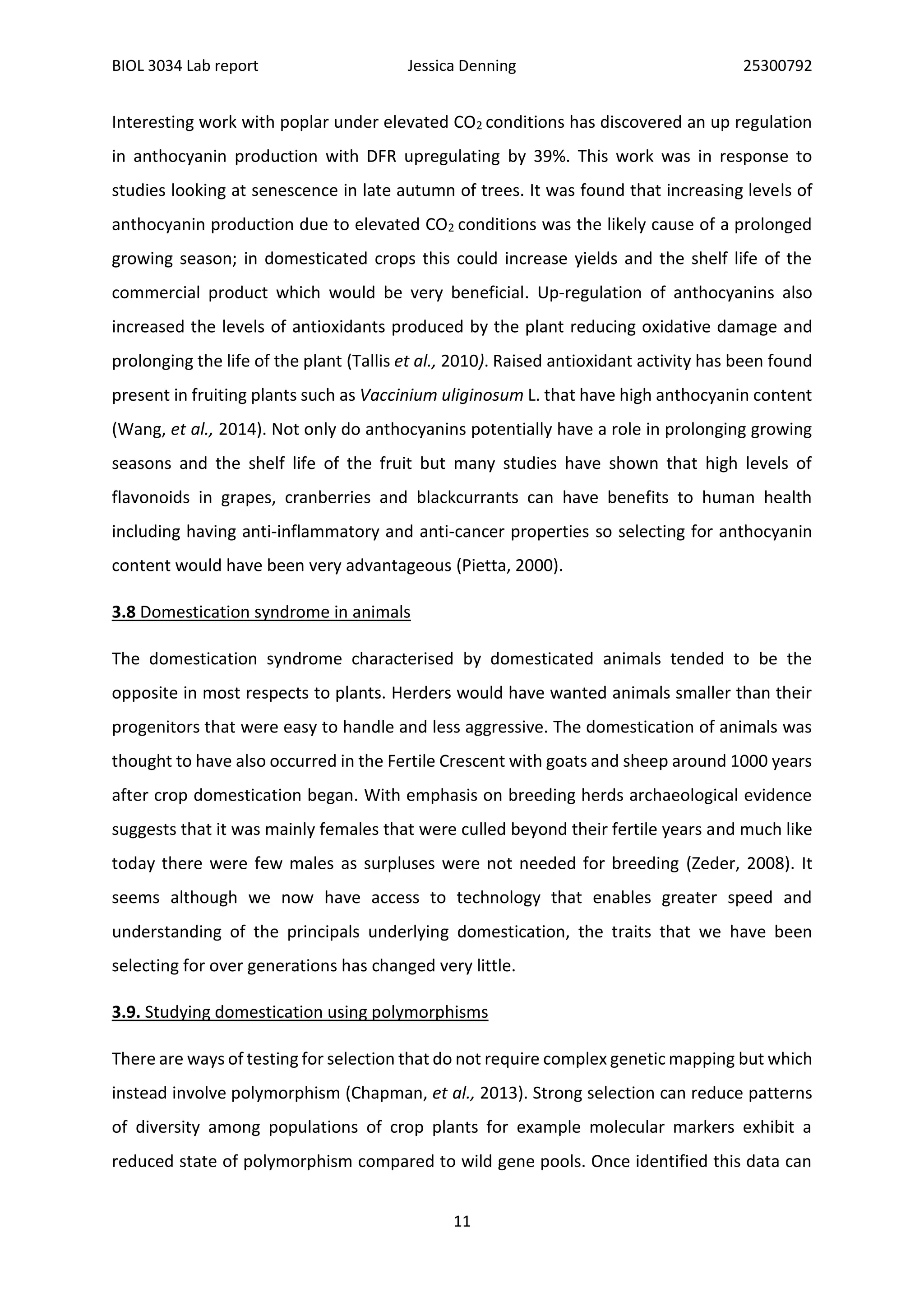 BIOL 3034 Lab report Jessica Denning 25300792
11
Interesting work with poplar under elevated CO2 conditions has discovered an up regulation
in anthocyanin production with DFR upregulating by 39%. This work was in response to
studies looking at senescence in late autumn of trees. It was found that increasing levels of
anthocyanin production due to elevated CO2 conditions was the likely cause of a prolonged
growing season; in domesticated crops this could increase yields and the shelf life of the
commercial product which would be very beneficial. Up-regulation of anthocyanins also
increased the levels of antioxidants produced by the plant reducing oxidative damage and
prolonging the life of the plant (Tallis et al., 2010). Raised antioxidant activity has been found
present in fruiting plants such as Vaccinium uliginosum L. that have high anthocyanin content
(Wang, et al., 2014). Not only do anthocyanins potentially have a role in prolonging growing
seasons and the shelf life of the fruit but many studies have shown that high levels of
flavonoids in grapes, cranberries and blackcurrants can have benefits to human health
including having anti-inflammatory and anti-cancer properties so selecting for anthocyanin
content would have been very advantageous (Pietta, 2000).
3.8 Domestication syndrome in animals
The domestication syndrome characterised by domesticated animals tended to be the
opposite in most respects to plants. Herders would have wanted animals smaller than their
progenitors that were easy to handle and less aggressive. The domestication of animals was
thought to have also occurred in the Fertile Crescent with goats and sheep around 1000 years
after crop domestication began. With emphasis on breeding herds archaeological evidence
suggests that it was mainly females that were culled beyond their fertile years and much like
today there were few males as surpluses were not needed for breeding (Zeder, 2008). It
seems although we now have access to technology that enables greater speed and
understanding of the principals underlying domestication, the traits that we have been
selecting for over generations has changed very little.
3.9. Studying domestication using polymorphisms
There are ways of testing for selection that do not require complex genetic mapping but which
instead involve polymorphism (Chapman, et al., 2013). Strong selection can reduce patterns
of diversity among populations of crop plants for example molecular markers exhibit a
reduced state of polymorphism compared to wild gene pools. Once identified this data can
 