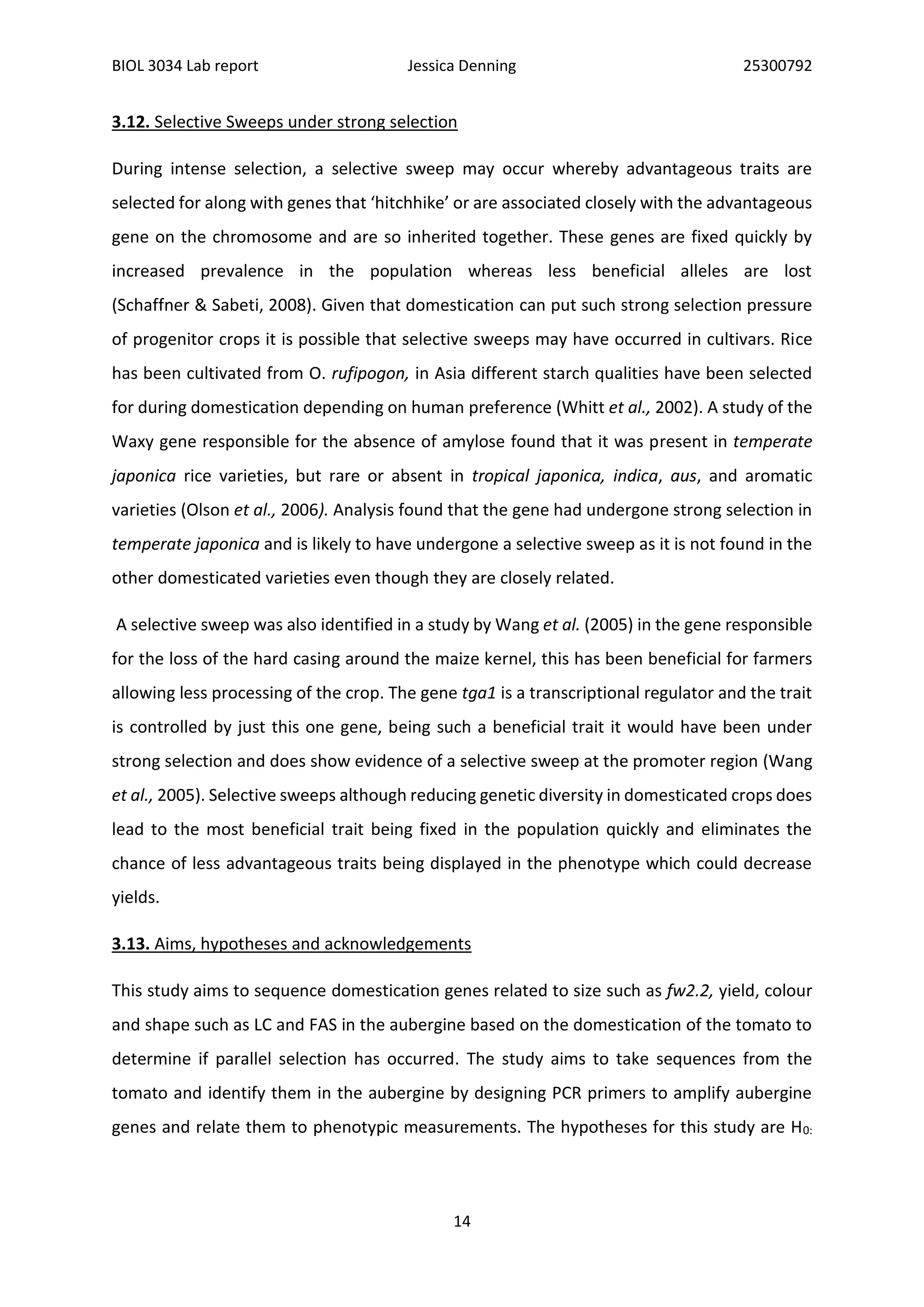 BIOL 3034 Lab report Jessica Denning 25300792
14
3.12. Selective Sweeps under strong selection
During intense selection, a selective sweep may occur whereby advantageous traits are
selected for along with genes that ‘hitchhike’ or are associated closely with the advantageous
gene on the chromosome and are so inherited together. These genes are fixed quickly by
increased prevalence in the population whereas less beneficial alleles are lost
(Schaffner & Sabeti, 2008). Given that domestication can put such strong selection pressure
of progenitor crops it is possible that selective sweeps may have occurred in cultivars. Rice
has been cultivated from O. rufipogon, in Asia different starch qualities have been selected
for during domestication depending on human preference (Whitt et al., 2002). A study of the
Waxy gene responsible for the absence of amylose found that it was present in temperate
japonica rice varieties, but rare or absent in tropical japonica, indica, aus, and aromatic
varieties (Olson et al., 2006). Analysis found that the gene had undergone strong selection in
temperate japonica and is likely to have undergone a selective sweep as it is not found in the
other domesticated varieties even though they are closely related.
A selective sweep was also identified in a study by Wang et al. (2005) in the gene responsible
for the loss of the hard casing around the maize kernel, this has been beneficial for farmers
allowing less processing of the crop. The gene tga1 is a transcriptional regulator and the trait
is controlled by just this one gene, being such a beneficial trait it would have been under
strong selection and does show evidence of a selective sweep at the promoter region (Wang
et al., 2005). Selective sweeps although reducing genetic diversity in domesticated crops does
lead to the most beneficial trait being fixed in the population quickly and eliminates the
chance of less advantageous traits being displayed in the phenotype which could decrease
yields.
3.13. Aims, hypotheses and acknowledgements
This study aims to sequence domestication genes related to size such as fw2.2, yield, colour
and shape such as LC and FAS in the aubergine based on the domestication of the tomato to
determine if parallel selection has occurred. The study aims to take sequences from the
tomato and identify them in the aubergine by designing PCR primers to amplify aubergine
genes and relate them to phenotypic measurements. The hypotheses for this study are H0:
 