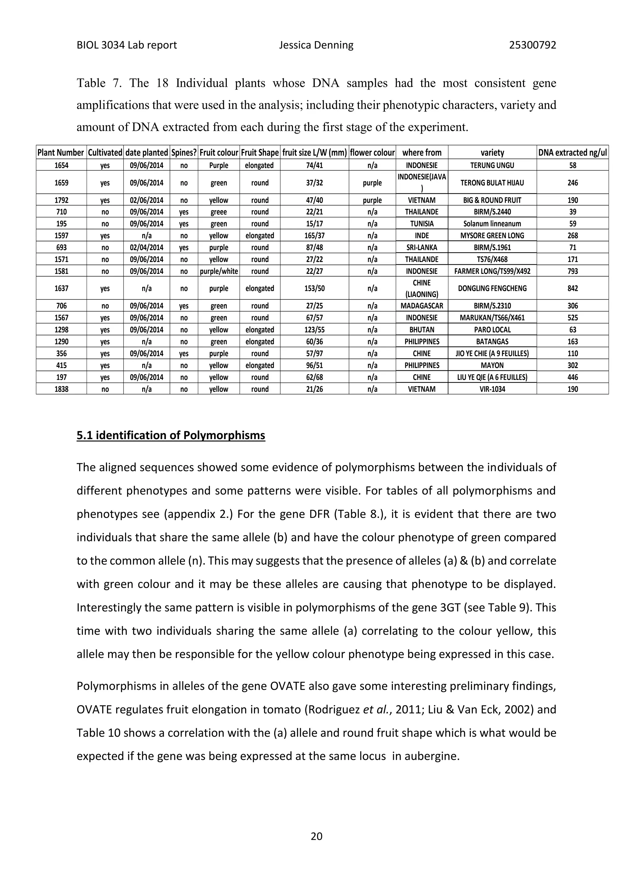 BIOL 3034 Lab report Jessica Denning 25300792
20
Table 7. The 18 Individual plants whose DNA samples had the most consistent gene
amplifications that were used in the analysis; including their phenotypic characters, variety and
amount of DNA extracted from each during the first stage of the experiment.
5.1 identification of Polymorphisms
The aligned sequences showed some evidence of polymorphisms between the individuals of
different phenotypes and some patterns were visible. For tables of all polymorphisms and
phenotypes see (appendix 2.) For the gene DFR (Table 8.), it is evident that there are two
individuals that share the same allele (b) and have the colour phenotype of green compared
to the common allele (n). This may suggests that the presence of alleles (a) & (b) and correlate
with green colour and it may be these alleles are causing that phenotype to be displayed.
Interestingly the same pattern is visible in polymorphisms of the gene 3GT (see Table 9). This
time with two individuals sharing the same allele (a) correlating to the colour yellow, this
allele may then be responsible for the yellow colour phenotype being expressed in this case.
Polymorphisms in alleles of the gene OVATE also gave some interesting preliminary findings,
OVATE regulates fruit elongation in tomato (Rodriguez et al., 2011; Liu & Van Eck, 2002) and
Table 10 shows a correlation with the (a) allele and round fruit shape which is what would be
expected if the gene was being expressed at the same locus in aubergine.
Plant Number Cultivated date planted Spines? Fruit colour Fruit Shape fruit size L/W (mm) flower colour where from variety DNA extracted ng/ul
1654 yes 09/06/2014 no Purple elongated 74/41 n/a INDONESIE TERUNG UNGU 58
1659 yes 09/06/2014 no green round 37/32 purple
INDONESIE(JAVA
)
TERONG BULAT HIJAU 246
1792 yes 02/06/2014 no yellow round 47/40 purple VIETNAM BIG & ROUND FRUIT 190
710 no 09/06/2014 yes greee round 22/21 n/a THAILANDE BIRM/S.2440 39
195 no 09/06/2014 yes green round 15/17 n/a TUNISIA Solanum linneanum 59
1597 yes n/a no yellow elongated 165/37 n/a INDE MYSORE GREEN LONG 268
693 no 02/04/2014 yes purple round 87/48 n/a SRI-LANKA BIRM/S.1961 71
1571 no 09/06/2014 no yellow round 27/22 n/a THAILANDE TS76/X468 171
1581 no 09/06/2014 no purple/white round 22/27 n/a INDONESIE FARMER LONG/TS99/X492 793
1637 yes n/a no purple elongated 153/50 n/a
CHINE
(LIAONING)
DONGLING FENGCHENG 842
706 no 09/06/2014 yes green round 27/25 n/a MADAGASCAR BIRM/S.2310 306
1567 yes 09/06/2014 no green round 67/57 n/a INDONESIE MARUKAN/TS66/X461 525
1298 yes 09/06/2014 no yellow elongated 123/55 n/a BHUTAN PARO LOCAL 63
1290 yes n/a no green elongated 60/36 n/a PHILIPPINES BATANGAS 163
356 yes 09/06/2014 yes purple round 57/97 n/a CHINE JIO YE CHIE (A 9 FEUILLES) 110
415 yes n/a no yellow elongated 96/51 n/a PHILIPPINES MAYON 302
197 yes 09/06/2014 no yellow round 62/68 n/a CHINE LIU YE QIE (A 6 FEUILLES) 446
1838 no n/a no yellow round 21/26 n/a VIETNAM VIR-1034 190
 