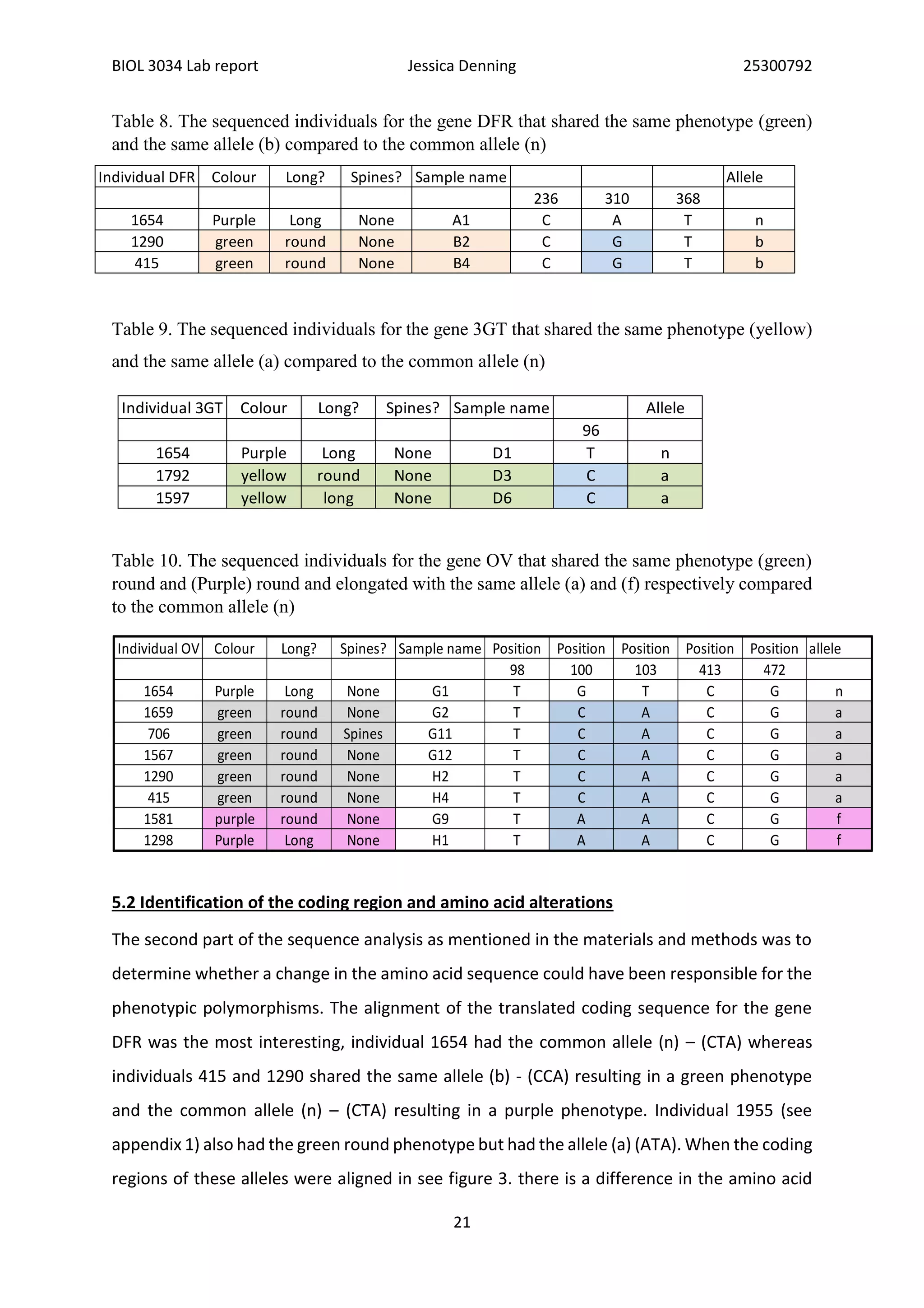 BIOL 3034 Lab report Jessica Denning 25300792
21
Table 8. The sequenced individuals for the gene DFR that shared the same phenotype (green)
and the same allele (b) compared to the common allele (n)
Table 9. The sequenced individuals for the gene 3GT that shared the same phenotype (yellow)
and the same allele (a) compared to the common allele (n)
Table 10. The sequenced individuals for the gene OV that shared the same phenotype (green)
round and (Purple) round and elongated with the same allele (a) and (f) respectively compared
to the common allele (n)
5.2 Identification of the coding region and amino acid alterations
The second part of the sequence analysis as mentioned in the materials and methods was to
determine whether a change in the amino acid sequence could have been responsible for the
phenotypic polymorphisms. The alignment of the translated coding sequence for the gene
DFR was the most interesting, individual 1654 had the common allele (n) – (CTA) whereas
individuals 415 and 1290 shared the same allele (b) - (CCA) resulting in a green phenotype
and the common allele (n) – (CTA) resulting in a purple phenotype. Individual 1955 (see
appendix 1) also had the green round phenotype but had the allele (a) (ATA). When the coding
regions of these alleles were aligned in see figure 3. there is a difference in the amino acid
Individual 3GT Colour Long? Spines? Sample name Allele
96
1654 Purple Long None D1 T n
1792 yellow round None D3 C a
1597 yellow long None D6 C a
Individual OV Colour Long? Spines? Sample name Position Position Position Position Position allele
98 100 103 413 472
1654 Purple Long None G1 T G T C G n
1659 green round None G2 T C A C G a
706 green round Spines G11 T C A C G a
1567 green round None G12 T C A C G a
1290 green round None H2 T C A C G a
415 green round None H4 T C A C G a
1581 purple round None G9 T A A C G f
1298 Purple Long None H1 T A A C G f
Individual DFR Colour Long? Spines? Sample name Allele
236 310 368
1654 Purple Long None A1 C A T n
1290 green round None B2 C G T b
415 green round None B4 C G T b
 