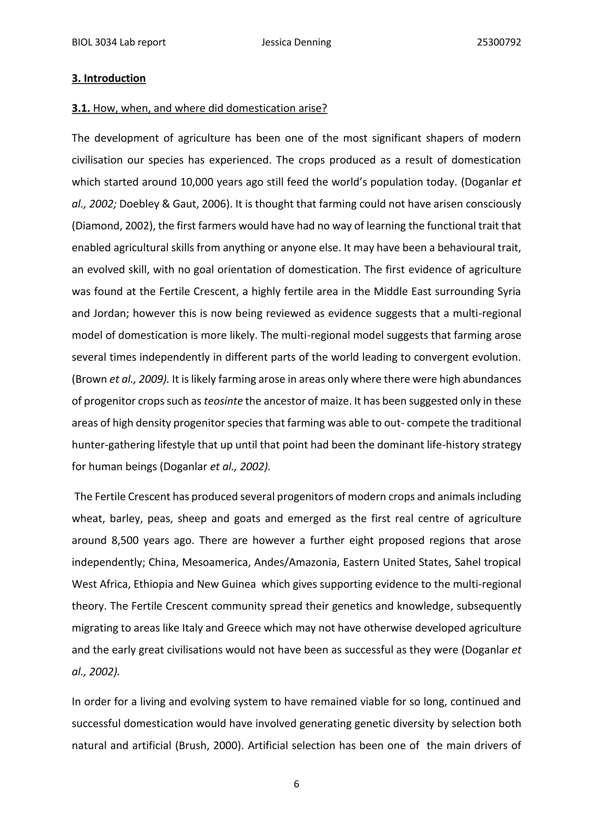 BIOL 3034 Lab report Jessica Denning 25300792
6
3. Introduction
3.1. How, when, and where did domestication arise?
The development of agriculture has been one of the most significant shapers of modern
civilisation our species has experienced. The crops produced as a result of domestication
which started around 10,000 years ago still feed the world’s population today. (Doganlar et
al., 2002; Doebley & Gaut, 2006). It is thought that farming could not have arisen consciously
(Diamond, 2002), the first farmers would have had no way of learning the functional trait that
enabled agricultural skills from anything or anyone else. It may have been a behavioural trait,
an evolved skill, with no goal orientation of domestication. The first evidence of agriculture
was found at the Fertile Crescent, a highly fertile area in the Middle East surrounding Syria
and Jordan; however this is now being reviewed as evidence suggests that a multi-regional
model of domestication is more likely. The multi-regional model suggests that farming arose
several times independently in different parts of the world leading to convergent evolution.
(Brown et al., 2009). It is likely farming arose in areas only where there were high abundances
of progenitor crops such as teosinte the ancestor of maize. It has been suggested only in these
areas of high density progenitor species that farming was able to out- compete the traditional
hunter-gathering lifestyle that up until that point had been the dominant life-history strategy
for human beings (Doganlar et al., 2002).
The Fertile Crescent has produced several progenitors of modern crops and animals including
wheat, barley, peas, sheep and goats and emerged as the first real centre of agriculture
around 8,500 years ago. There are however a further eight proposed regions that arose
independently; China, Mesoamerica, Andes/Amazonia, Eastern United States, Sahel tropical
West Africa, Ethiopia and New Guinea which gives supporting evidence to the multi-regional
theory. The Fertile Crescent community spread their genetics and knowledge, subsequently
migrating to areas like Italy and Greece which may not have otherwise developed agriculture
and the early great civilisations would not have been as successful as they were (Doganlar et
al., 2002).
In order for a living and evolving system to have remained viable for so long, continued and
successful domestication would have involved generating genetic diversity by selection both
natural and artificial (Brush, 2000). Artificial selection has been one of the main drivers of
 