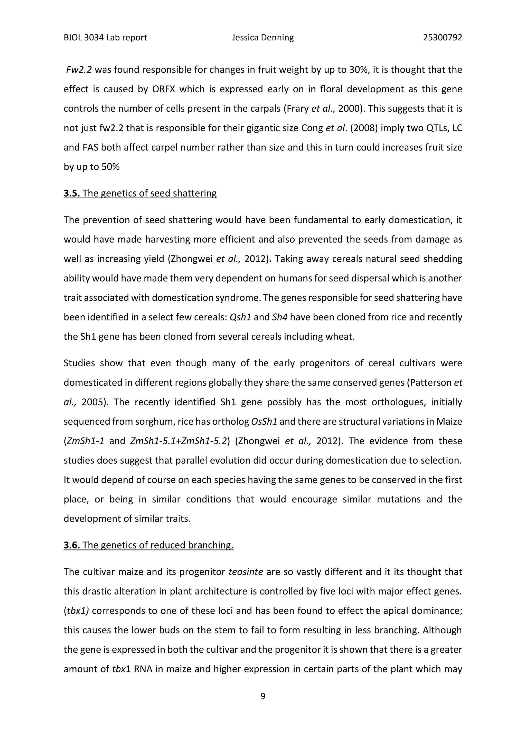 BIOL 3034 Lab report Jessica Denning 25300792
9
Fw2.2 was found responsible for changes in fruit weight by up to 30%, it is thought that the
effect is caused by ORFX which is expressed early on in floral development as this gene
controls the number of cells present in the carpals (Frary et al., 2000). This suggests that it is
not just fw2.2 that is responsible for their gigantic size Cong et al. (2008) imply two QTLs, LC
and FAS both affect carpel number rather than size and this in turn could increases fruit size
by up to 50%
3.5. The genetics of seed shattering
The prevention of seed shattering would have been fundamental to early domestication, it
would have made harvesting more efficient and also prevented the seeds from damage as
well as increasing yield (Zhongwei et al., 2012). Taking away cereals natural seed shedding
ability would have made them very dependent on humans for seed dispersal which is another
trait associated with domestication syndrome. The genes responsible for seed shattering have
been identified in a select few cereals: Qsh1 and Sh4 have been cloned from rice and recently
the Sh1 gene has been cloned from several cereals including wheat.
Studies show that even though many of the early progenitors of cereal cultivars were
domesticated in different regions globally they share the same conserved genes (Patterson et
al., 2005). The recently identified Sh1 gene possibly has the most orthologues, initially
sequenced from sorghum, rice has ortholog OsSh1 and there are structural variations in Maize
(ZmSh1-1 and ZmSh1-5.1+ZmSh1-5.2) (Zhongwei et al., 2012). The evidence from these
studies does suggest that parallel evolution did occur during domestication due to selection.
It would depend of course on each species having the same genes to be conserved in the first
place, or being in similar conditions that would encourage similar mutations and the
development of similar traits.
3.6. The genetics of reduced branching.
The cultivar maize and its progenitor teosinte are so vastly different and it its thought that
this drastic alteration in plant architecture is controlled by five loci with major effect genes.
(tbx1) corresponds to one of these loci and has been found to effect the apical dominance;
this causes the lower buds on the stem to fail to form resulting in less branching. Although
the gene is expressed in both the cultivar and the progenitor it is shown that there is a greater
amount of tbx1 RNA in maize and higher expression in certain parts of the plant which may
 