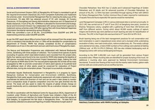 Status Report 31.03.15