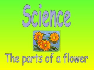 Science The parts of a flower 
