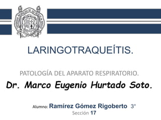 LARINGOTRAQUEÍTIS.
PATOLOGÍA DEL APARATO RESPIRATORIO.
Dr. Marco Eugenio Hurtado Soto.
Alumno: Ramírez Gómez Rigoberto 3°
Sección 17
 