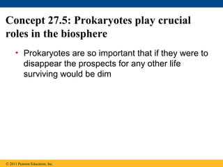 Concept 27.5: Prokaryotes play crucial
roles in the biosphere
• Prokaryotes are so important that if they were to
disappear the prospects for any other life
surviving would be dim
© 2011 Pearson Education, Inc.
 