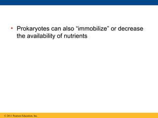 • Prokaryotes can also “immobilize” or decrease
the availability of nutrients
© 2011 Pearson Education, Inc.
 
