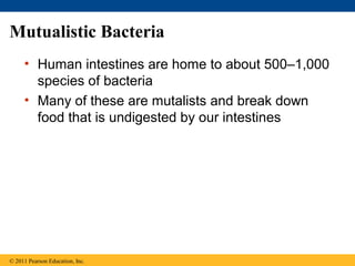 Mutualistic Bacteria
• Human intestines are home to about 500–1,000
species of bacteria
• Many of these are mutalists and break down
food that is undigested by our intestines
© 2011 Pearson Education, Inc.
 