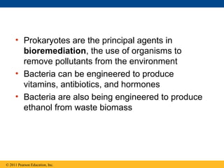 • Prokaryotes are the principal agents in
bioremediation, the use of organisms to
remove pollutants from the environment
• Bacteria can be engineered to produce
vitamins, antibiotics, and hormones
• Bacteria are also being engineered to produce
ethanol from waste biomass
© 2011 Pearson Education, Inc.
 