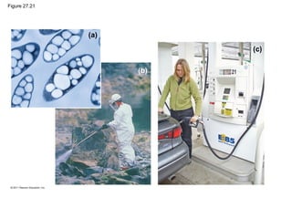 Figure 27.21
(a)
(b)
(c)
 