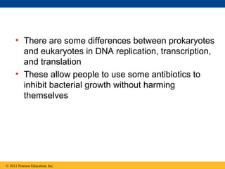 • There are some differences between prokaryotes
and eukaryotes in DNA replication, transcription,
and translation
• These allow people to use some antibiotics to
inhibit bacterial growth without harming
themselves
© 2011 Pearson Education, Inc.
 