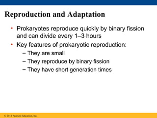 Reproduction and Adaptation
• Prokaryotes reproduce quickly by binary fission
and can divide every 1–3 hours
• Key features of prokaryotic reproduction:
– They are small
– They reproduce by binary fission
– They have short generation times
© 2011 Pearson Education, Inc.
 