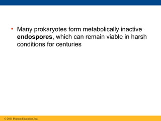 • Many prokaryotes form metabolically inactive
endospores, which can remain viable in harsh
conditions for centuries
© 2011 Pearson Education, Inc.
 