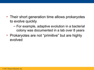 • Their short generation time allows prokaryotes
to evolve quickly
– For example, adaptive evolution in a bacterial
colony was documented in a lab over 8 years
• Prokaryotes are not “primitive” but are highly
evolved
© 2011 Pearson Education, Inc.
 