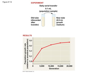 Figure 27.10
Daily serial transfer
0.1 mL
(population sample)
Old tube
(discarded
after
transfer)
New tube
(9.9 mL
growth
medium)
EXPERIMENT
RESULTS
1.8
Populationgrowthrate
(relativetoancestralpopulation)
1.6
1.4
1.2
1.0
0 5,000 10,000 15,000
Generation
20,000
 