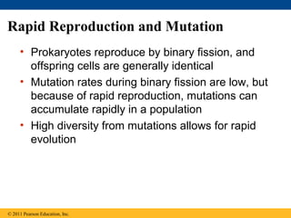 Rapid Reproduction and Mutation
• Prokaryotes reproduce by binary fission, and
offspring cells are generally identical
• Mutation rates during binary fission are low, but
because of rapid reproduction, mutations can
accumulate rapidly in a population
• High diversity from mutations allows for rapid
evolution
© 2011 Pearson Education, Inc.
 