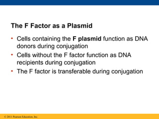 The F Factor as a Plasmid
• Cells containing the F plasmid function as DNA
donors during conjugation
• Cells without the F factor function as DNA
recipients during conjugation
• The F factor is transferable during conjugation
© 2011 Pearson Education, Inc.
 