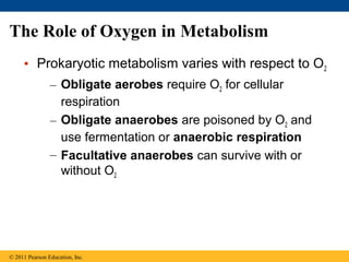 The Role of Oxygen in Metabolism
• Prokaryotic metabolism varies with respect to O2
– Obligate aerobes require O2 for cellular
respiration
– Obligate anaerobes are poisoned by O2 and
use fermentation or anaerobic respiration
– Facultative anaerobes can survive with or
without O2
© 2011 Pearson Education, Inc.
 