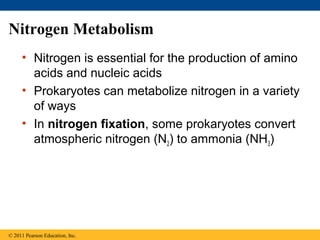 Nitrogen Metabolism
• Nitrogen is essential for the production of amino
acids and nucleic acids
• Prokaryotes can metabolize nitrogen in a variety
of ways
• In nitrogen fixation, some prokaryotes convert
atmospheric nitrogen (N2) to ammonia (NH3)
© 2011 Pearson Education, Inc.
 