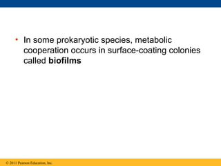 • In some prokaryotic species, metabolic
cooperation occurs in surface-coating colonies
called biofilms
© 2011 Pearson Education, Inc.
 