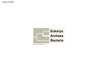 Figure 27.UN01
Eukarya
Archaea
Bacteria
 