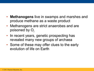 • Methanogens live in swamps and marshes and
produce methane as a waste product
• Methanogens are strict anaerobes and are
poisoned by O2
• In recent years, genetic prospecting has
revealed many new groups of archaea
• Some of these may offer clues to the early
evolution of life on Earth
© 2011 Pearson Education, Inc.
 