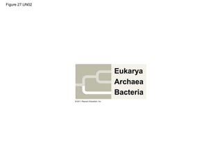 Figure 27.UN02
Eukarya
Archaea
Bacteria
 