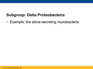 Subgroup: Delta Proteobacteria
• Example: the slime-secreting myxobacteria
© 2011 Pearson Education, Inc.
 