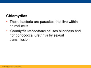 Chlamydias
• These bacteria are parasites that live within
animal cells
• Chlamydia trachomatis causes blindness and
nongonococcal urethritis by sexual
transmission
© 2011 Pearson Education, Inc.
 